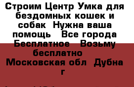 Строим Центр Умка для бездомных кошек и собак! Нужна ваша помощь - Все города Бесплатное » Возьму бесплатно   . Московская обл.,Дубна г.